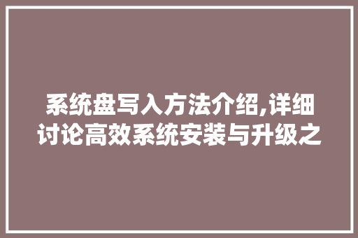 系统盘写入方法介绍,详细讨论高效系统安装与升级之路