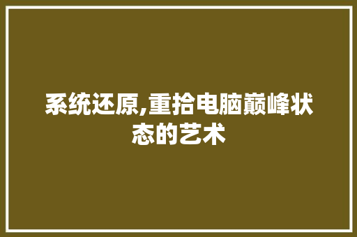 系统还原,重拾电脑巅峰状态的艺术