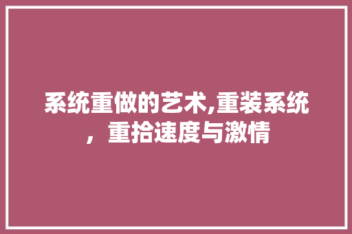 系统重做的艺术,重装系统，重拾速度与激情