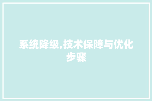 系统降级,技术保障与优化步骤