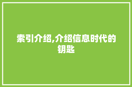 索引介绍,介绍信息时代的钥匙