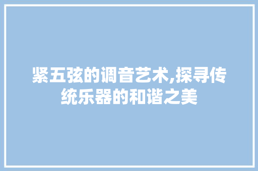 紧五弦的调音艺术,探寻传统乐器的和谐之美