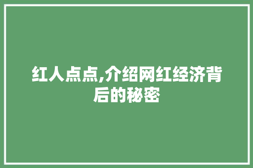 红人点点,介绍网红经济背后的秘密 红人点点,介绍网红经济背后的秘密