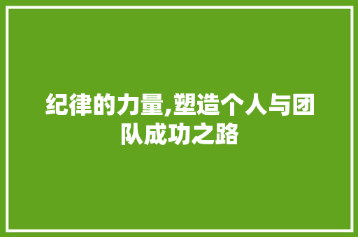 纪律的力量,塑造个人与团队成功之路 纪律的力量,塑造个人与团队成功之路