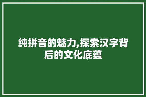 纯拼音的魅力,探索汉字背后的文化底蕴