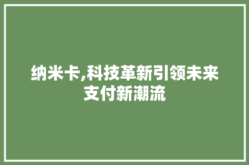 纳米卡,科技革新引领未来支付新潮流