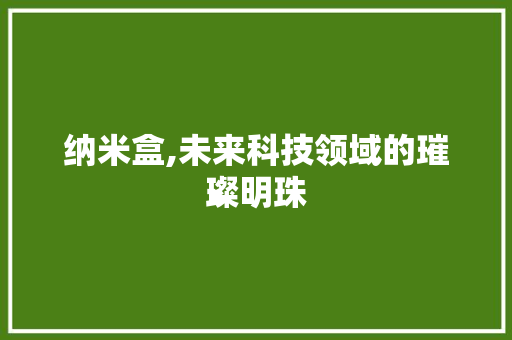 纳米盒,未来科技领域的璀璨明珠