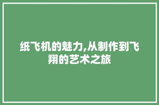 纸飞机的魅力,从制作到飞翔的艺术之旅