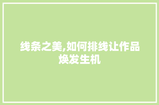 线条之美,如何排线让作品焕发生机