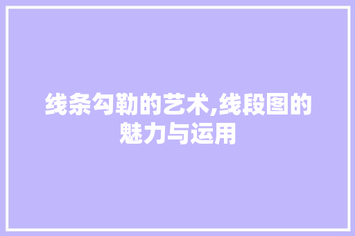 线条勾勒的艺术,线段图的魅力与运用