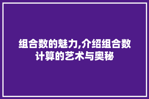 组合数的魅力,介绍组合数计算的艺术与奥秘
