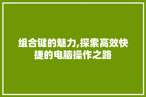 组合键的魅力,探索高效快捷的电脑操作之路
