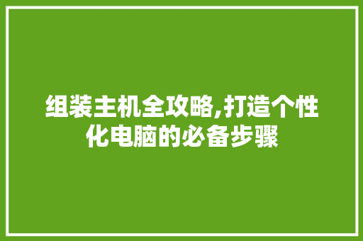 组装主机全攻略,打造个性化电脑的必备步骤