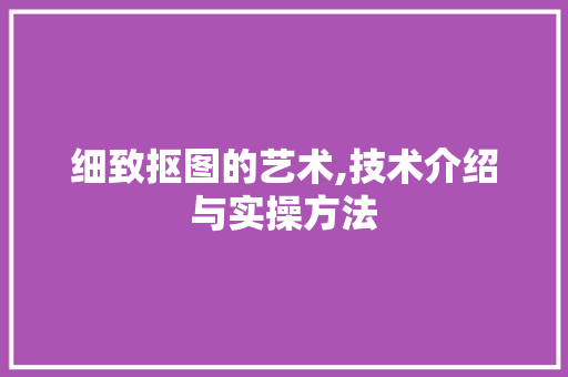 细致抠图的艺术,技术介绍与实操方法 电脑基础