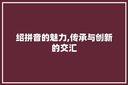 绍拼音的魅力,传承与创新的交汇