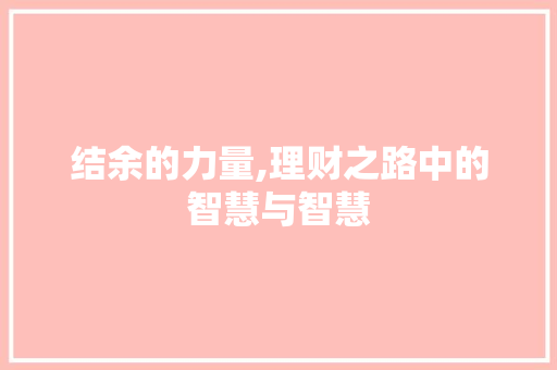 结余的力量,理财之路中的智慧与智慧 电脑基础 结余的力量,理财之路中的智慧与智慧 电脑基础