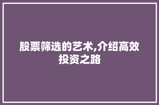 股票筛选的艺术,介绍高效投资之路