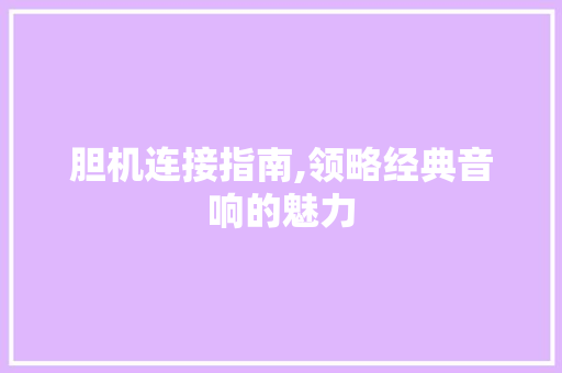 胆机连接指南,领略经典音响的魅力