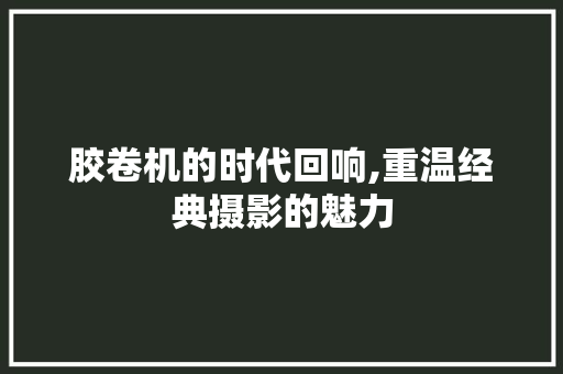 胶卷机的时代回响,重温经典摄影的魅力 编程语言