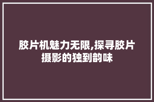 胶片机魅力无限,探寻胶片摄影的独到韵味 电脑配置