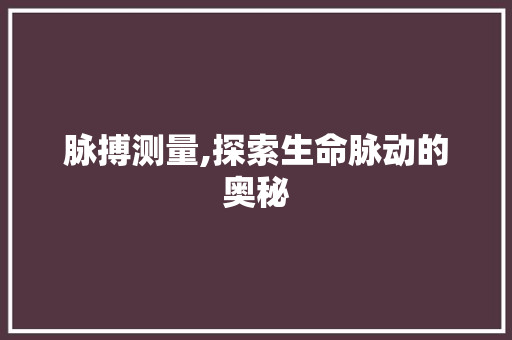 脉搏测量,探索生命脉动的奥秘