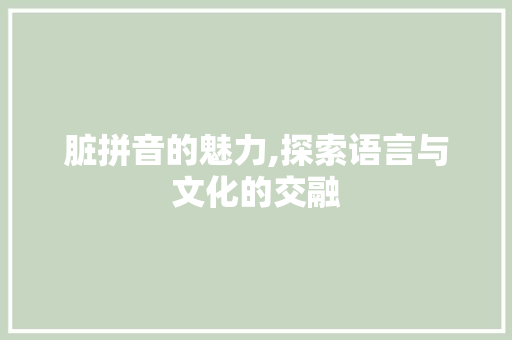 脏拼音的魅力,探索语言与文化的交融 电脑故障维修