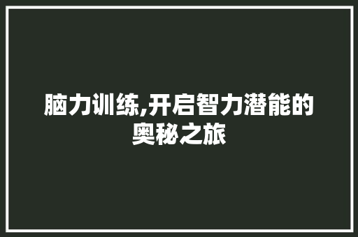 脑力训练,开启智力潜能的奥秘之旅 电脑配置