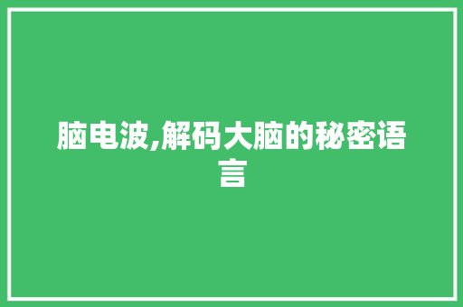 脑电波,解码大脑的秘密语言 电脑故障维修