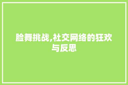 脸舞挑战,社交网络的狂欢与反思 网络技术