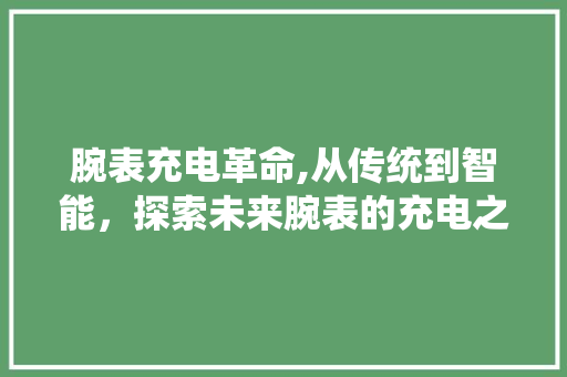 腕表充电革命,从传统到智能，探索未来腕表的充电之路