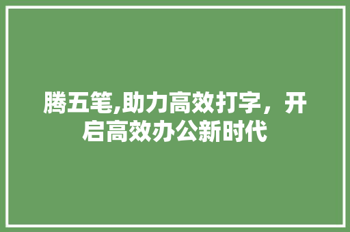 腾五笔,助力高效打字，开启高效办公新时代 网络技术