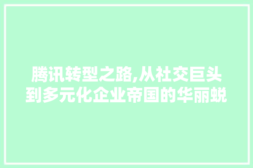 腾讯转型之路,从社交巨头到多元化企业帝国的华丽蜕变 编程语言