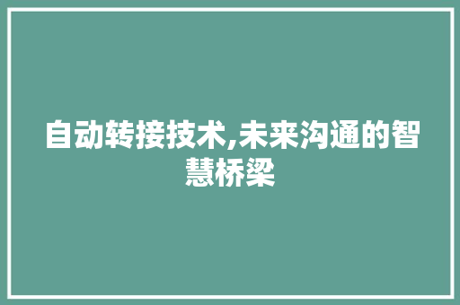 自动转接技术,未来沟通的智慧桥梁