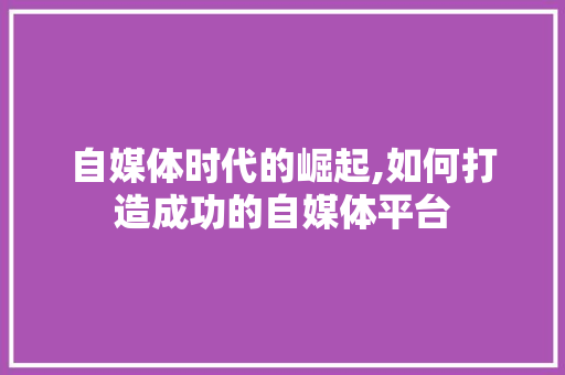 自媒体时代的崛起,如何打造成功的自媒体平台