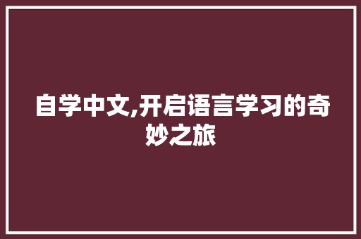 自学中文,开启语言学习的奇妙之旅
