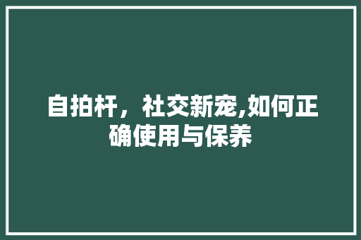 自拍杆，社交新宠,如何正确使用与保养