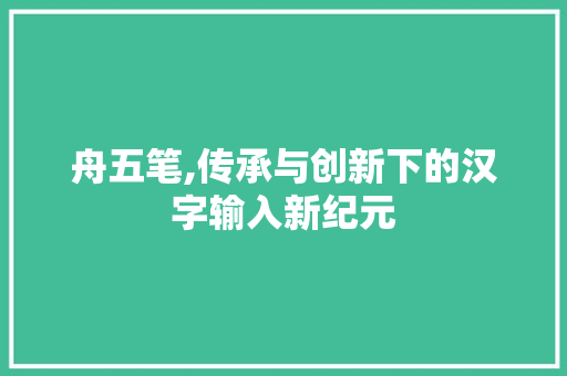 舟五笔,传承与创新下的汉字输入新纪元 舟五笔,传承与创新下的汉字输入新纪元