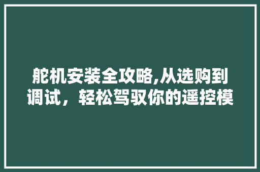 舵机安装全攻略,从选购到调试，轻松驾驭你的遥控模型