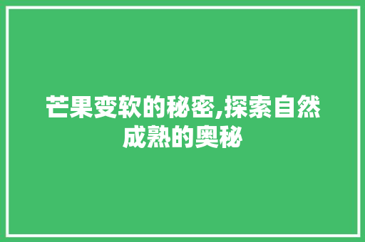 芒果变软的秘密,探索自然成熟的奥秘