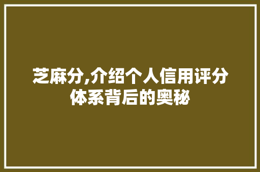 芝麻分,介绍个人信用评分体系背后的奥秘