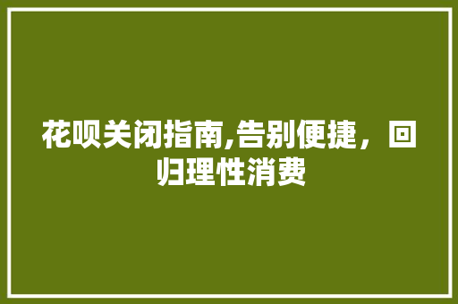 花呗关闭指南,告别便捷，回归理性消费