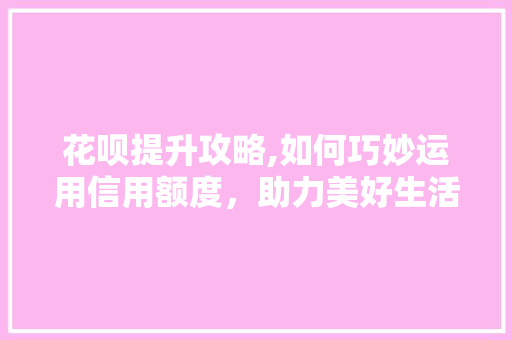 花呗提升攻略,如何巧妙运用信用额度，助力美好生活