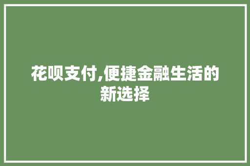 花呗支付,便捷金融生活的新选择