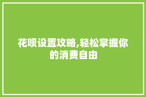 花呗设置攻略,轻松掌握你的消费自由