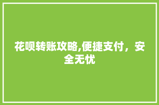 花呗转账攻略,便捷支付，安全无忧