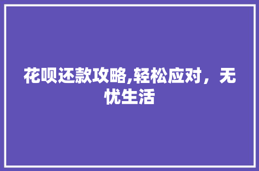 花呗还款攻略,轻松应对，无忧生活 电脑基础
