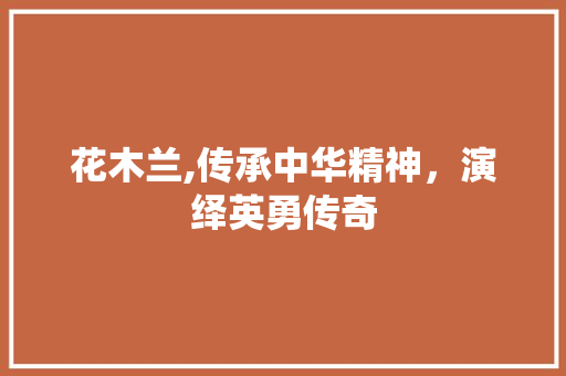 花木兰,传承中华精神，演绎英勇传奇 电脑基础