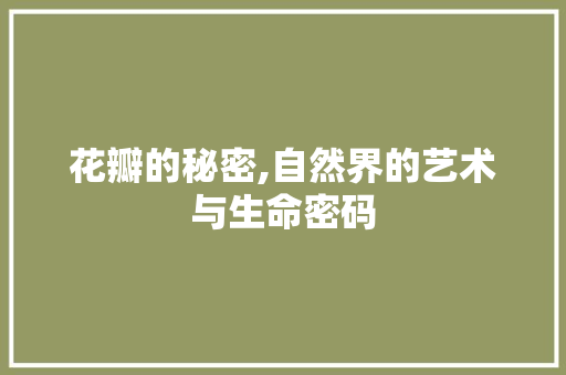 花瓣的秘密,自然界的艺术与生命密码 编程语言