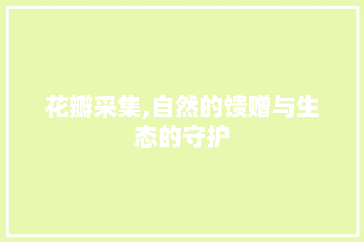 花瓣采集,自然的馈赠与生态的守护