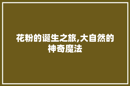 花粉的诞生之旅,大自然的神奇魔法